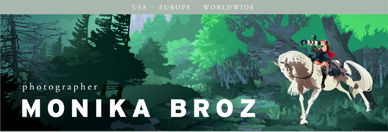 Monika Broz: Photography for Lovers